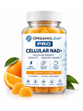 Cellular NAD+
